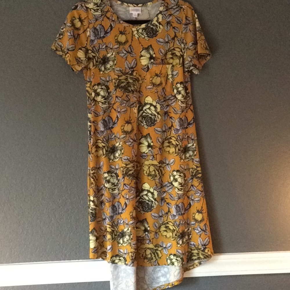NWOT Lularoe carly small